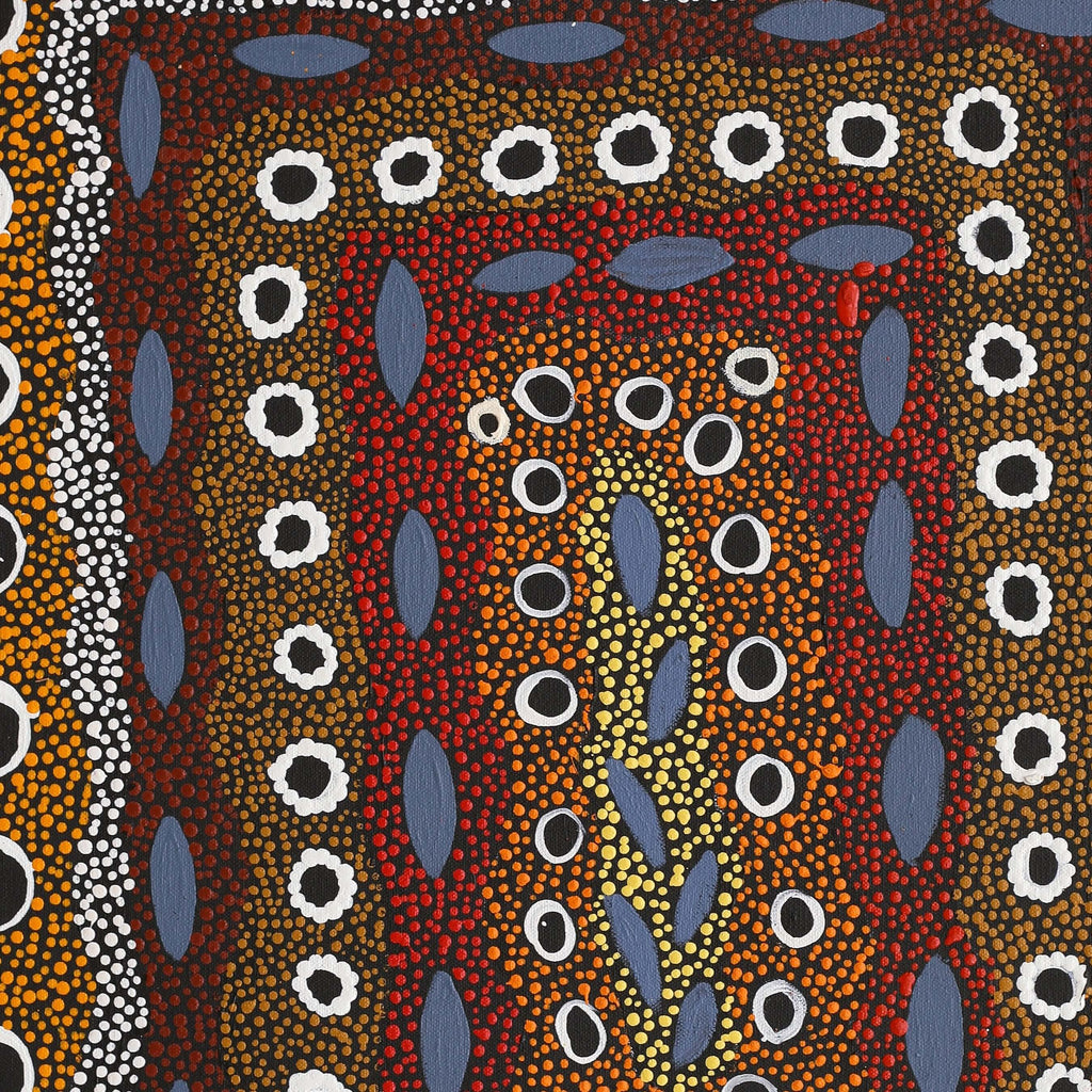 Aboriginal Artwork by Agnes Nampijinpa Fry, Pamapardu Jukurrpa (Flying Ant Dreaming) - Warntu, 61x46cm