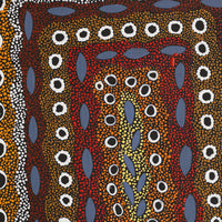 Aboriginal Artwork by Agnes Nampijinpa Fry, Pamapardu Jukurrpa (Flying Ant Dreaming) - Warntu, 61x46cm