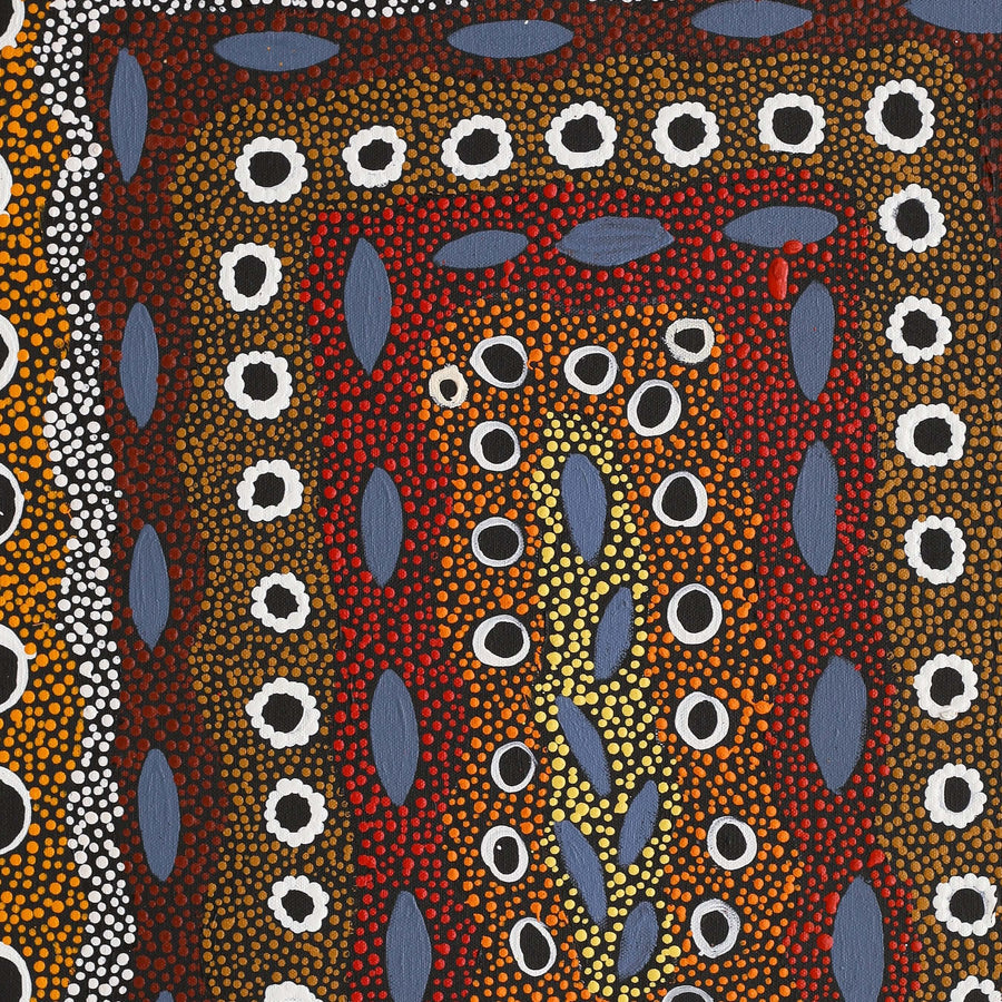 Aboriginal Artwork by Agnes Nampijinpa Fry, Pamapardu Jukurrpa (Flying Ant Dreaming) - Warntu, 61x46cm