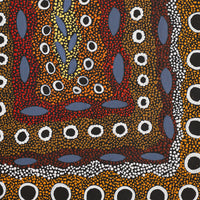 Aboriginal Artwork by Agnes Nampijinpa Fry, Pamapardu Jukurrpa (Flying Ant Dreaming) - Warntu, 61x46cm