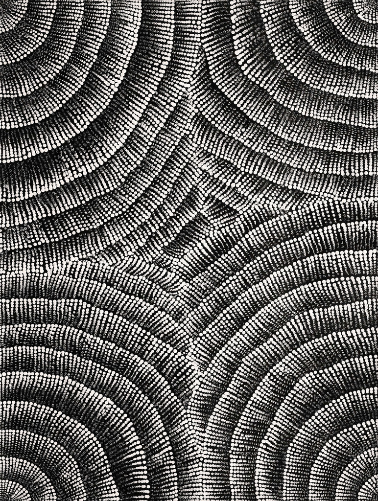 Aboriginal Artwork by Alicka Napanangka Brown, Yarla Jukurrpa (Bush Potato Dreaming), 61x46cm