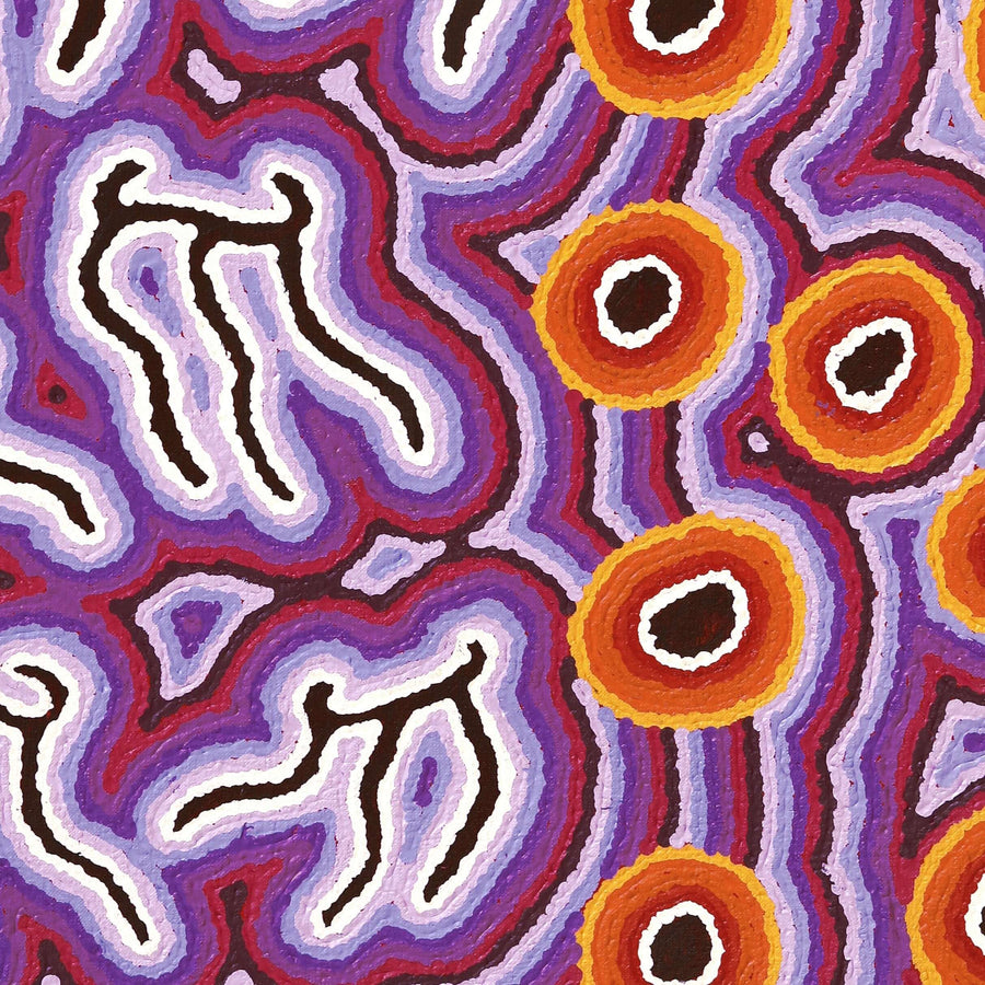 Aboriginal Artwork by Amanda Nakamarra Curtis, Majardi Jukurrpa - Mina Mina, 76x46cm
