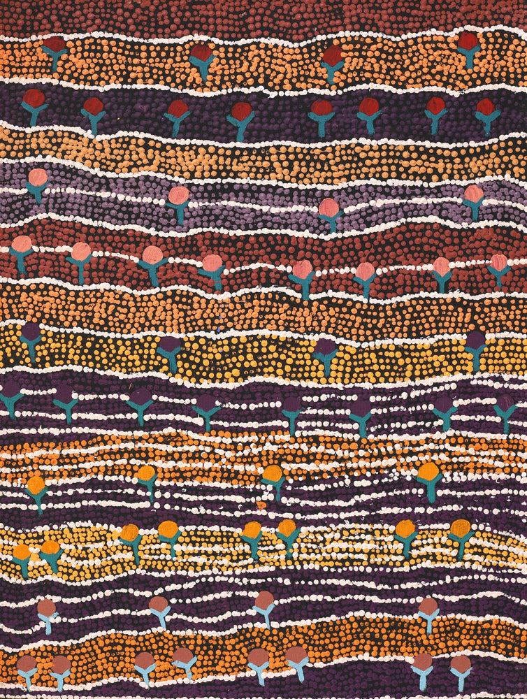 Aboriginal Artwork by Charlene Napanangka Marshall, Wanakiji Jukurrpa (Bush Tomato Dreaming), 61x46cm