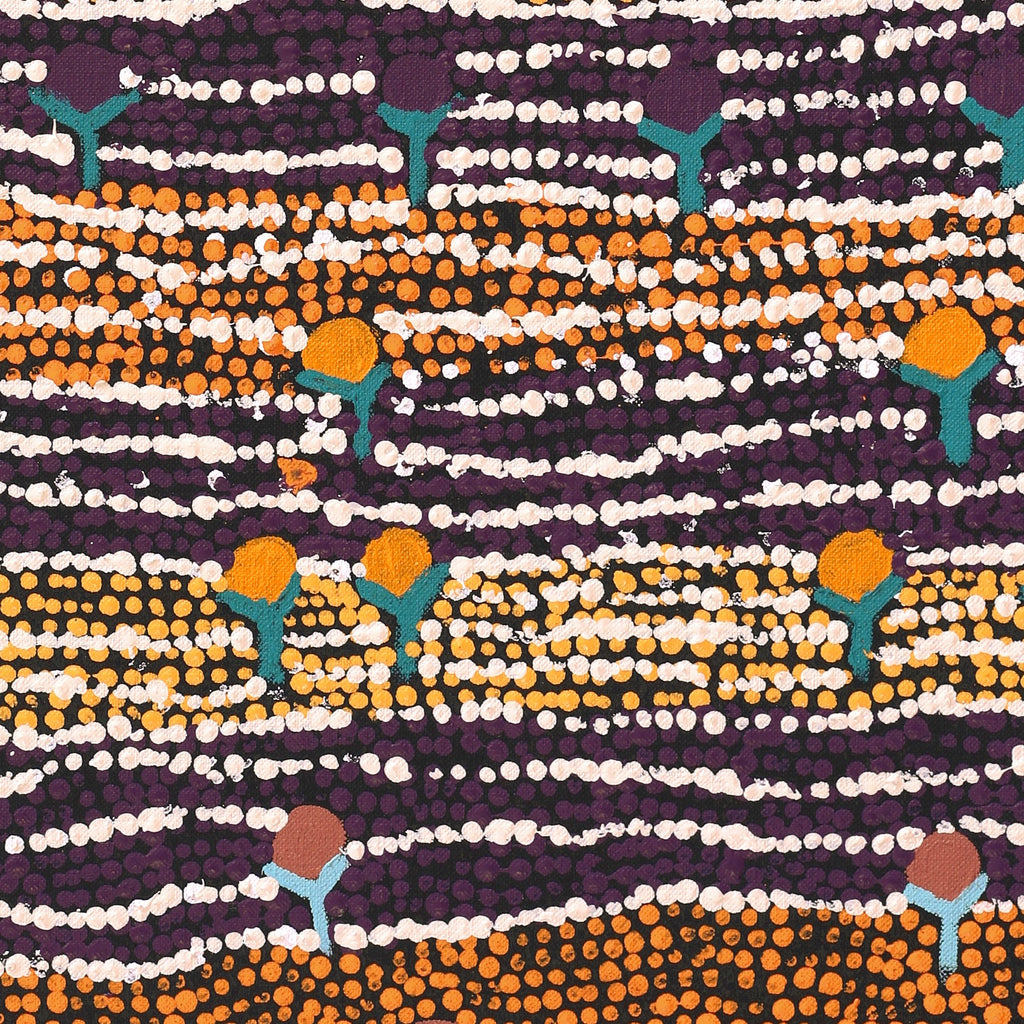 Aboriginal Artwork by Charlene Napanangka Marshall, Wanakiji Jukurrpa (Bush Tomato Dreaming), 61x46cm