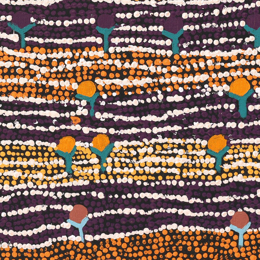 Aboriginal Artwork by Charlene Napanangka Marshall, Wanakiji Jukurrpa (Bush Tomato Dreaming), 61x46cm