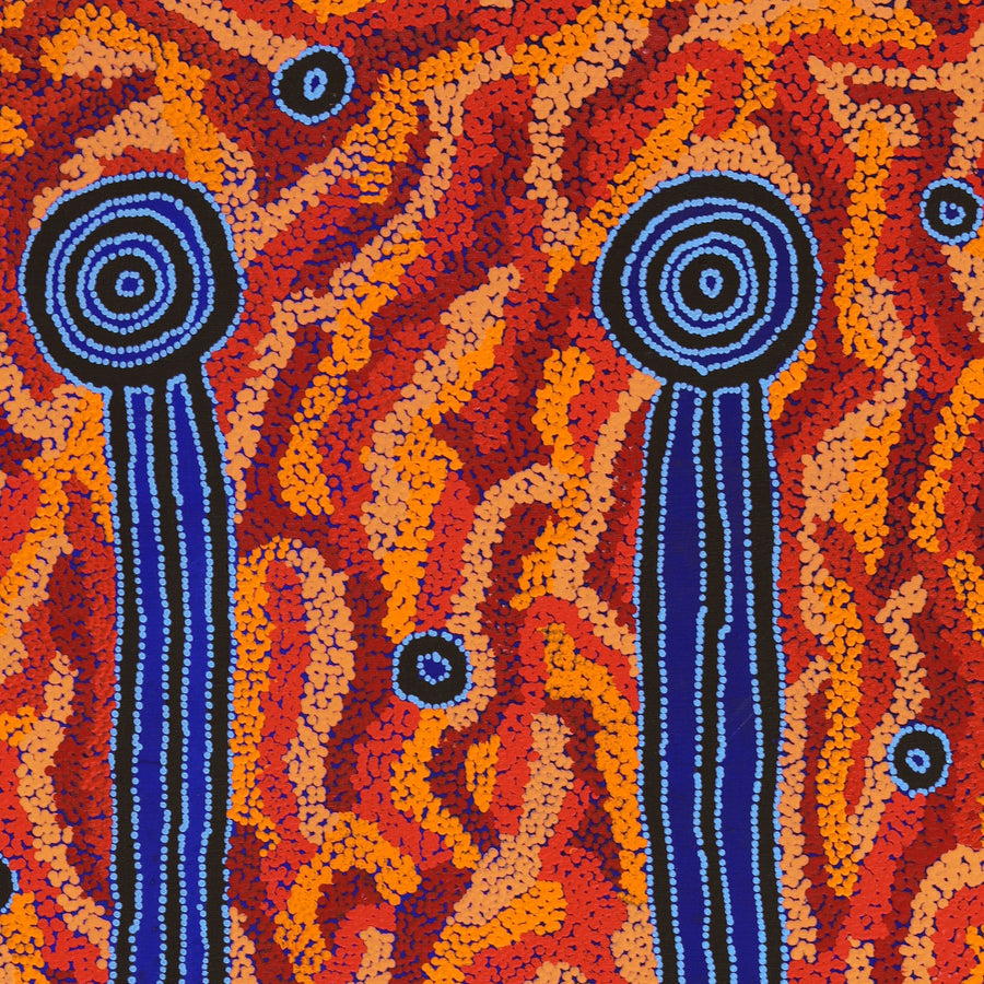 Aboriginal Artwork by Delena Napaljarri Turner, Pikilyi Jukurrpa (Vaughan Springs Dreaming), 107x61cm