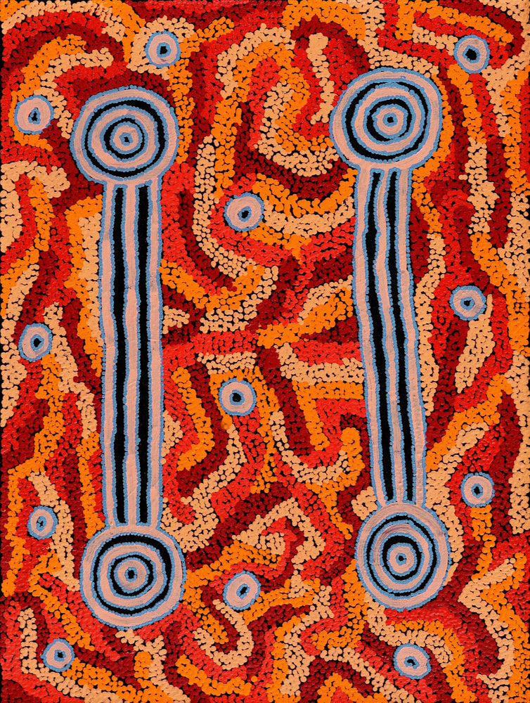 Aboriginal Artwork by Delena Napaljarri Turner, Pikilyi Jukurrpa (Vaughan Springs Dreaming), 61x46cm