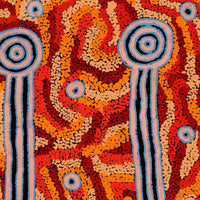 Aboriginal Artwork by Delena Napaljarri Turner, Pikilyi Jukurrpa (Vaughan Springs Dreaming), 61x46cm