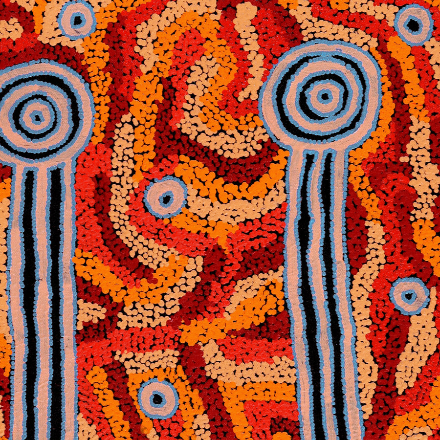 Aboriginal Artwork by Delena Napaljarri Turner, Pikilyi Jukurrpa (Vaughan Springs Dreaming), 61x46cm
