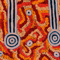 Aboriginal Artwork by Delena Napaljarri Turner, Pikilyi Jukurrpa (Vaughan Springs Dreaming), 61x46cm