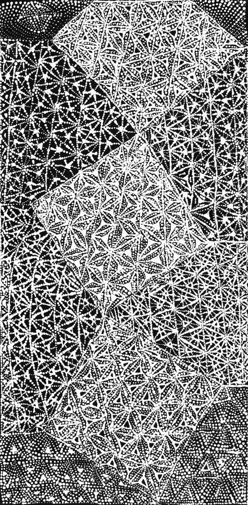 Aboriginal Artwork by Hilda Nakamarra Rogers, Lukarrara Jukurrpa, 61x30cm