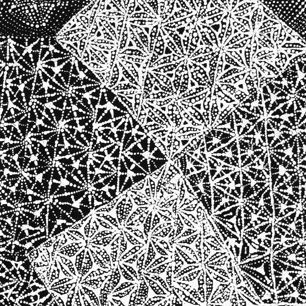 Aboriginal Artwork by Hilda Nakamarra Rogers, Lukarrara Jukurrpa, 61x30cm