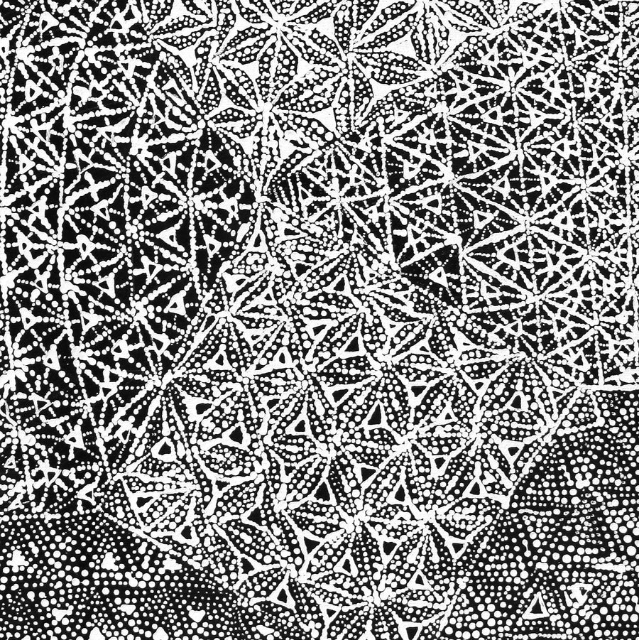 Aboriginal Artwork by Hilda Nakamarra Rogers, Lukarrara Jukurrpa, 61x30cm