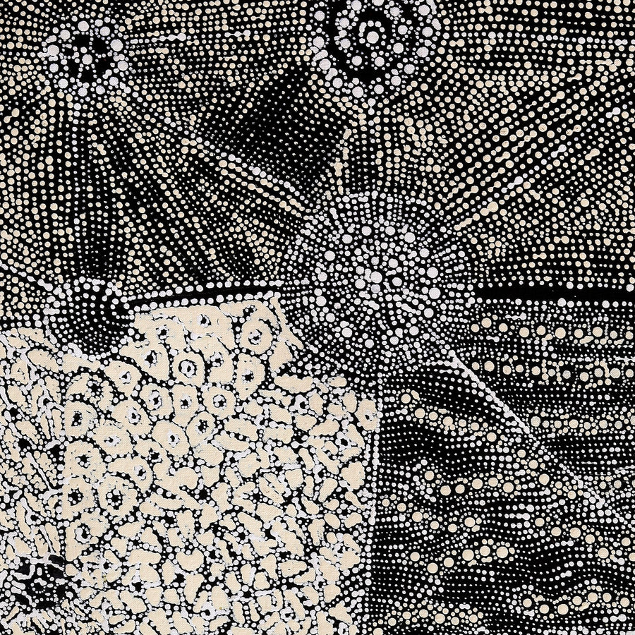 Aboriginal Artwork by Hilda Nakamarra Rogers, Lukarrara Jukurrpa, 91x46cm