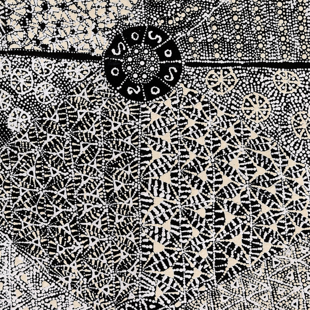 Aboriginal Artwork by Hilda Nakamarra Rogers, Lukarrara Jukurrpa, 91x46cm
