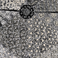 Aboriginal Artwork by Hilda Nakamarra Rogers, Lukarrara Jukurrpa, 91x46cm