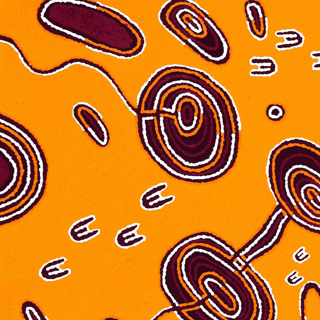 Aboriginal Artwork by Janelle Napurrurla Wilson, Janganpa Jukurrpa (Brush-tail Possum Dreaming) - Mawurrji, 91x61cm