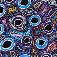 Aboriginal Artwork by Joy Nangala Brown, Yumari Jukurrpa, 61x30cm