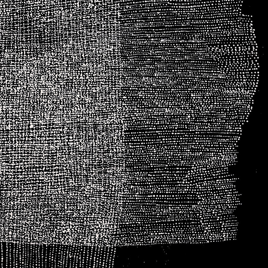 Aboriginal Artwork by Julie Nangala Robertson, Mina Mina Jukurrpa, 152x152cm