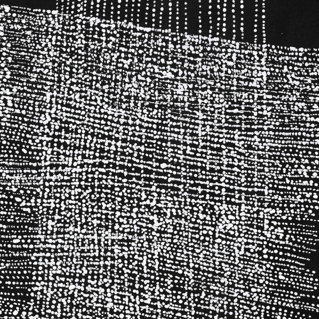 Aboriginal Artwork by Julie Nangala Robertson, Mina Mina Jukurrpa, 76x46cm