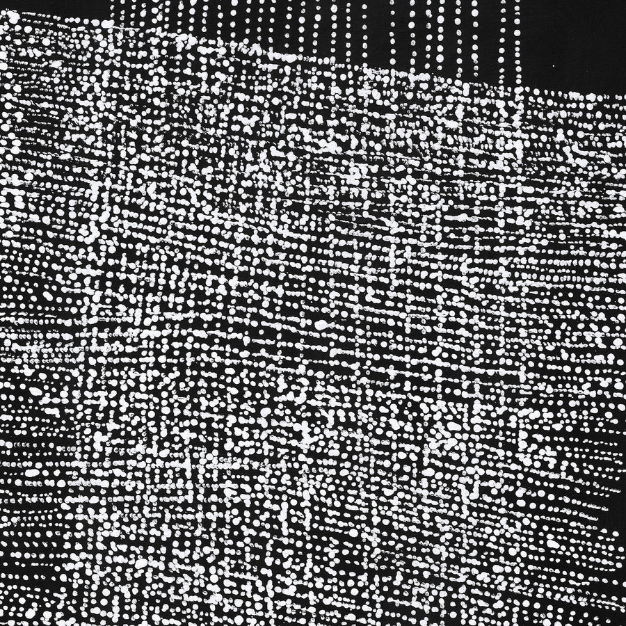Aboriginal Artwork by Julie Nangala Robertson, Mina Mina Jukurrpa, 76x46cm