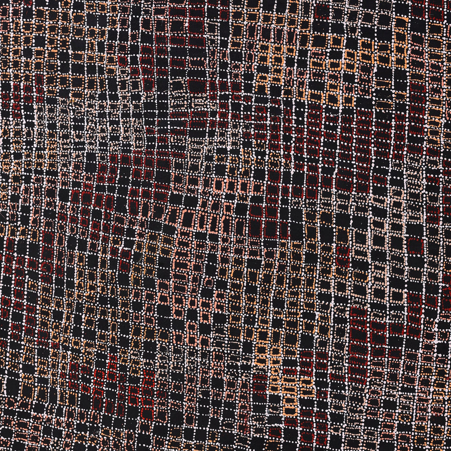 Aboriginal Artwork by Julie Nangala Robertson, Ngapa Jukurrpa (Water Dreaming) - Pirlinyarnu, 152x107cm