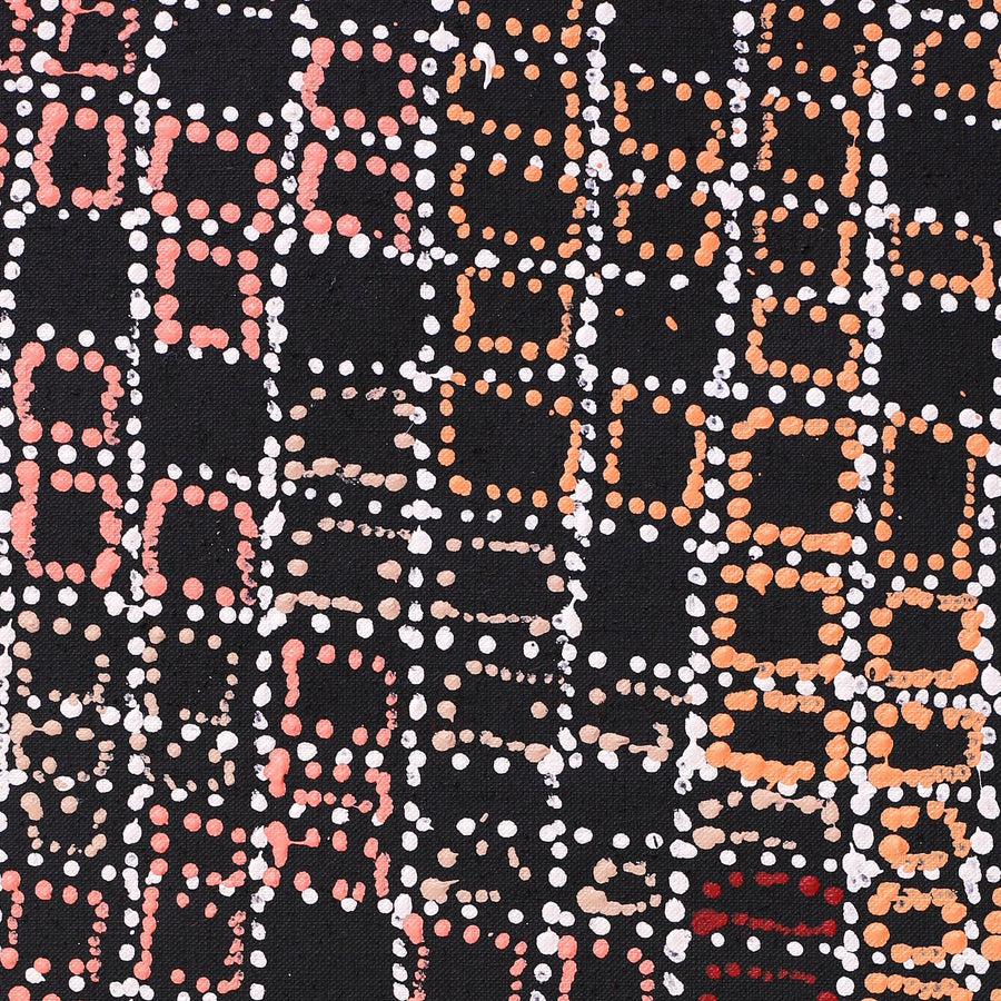 Aboriginal Artwork by Julie Nangala Robertson, Ngapa Jukurrpa (Water Dreaming) - Pirlinyarnu, 152x107cm