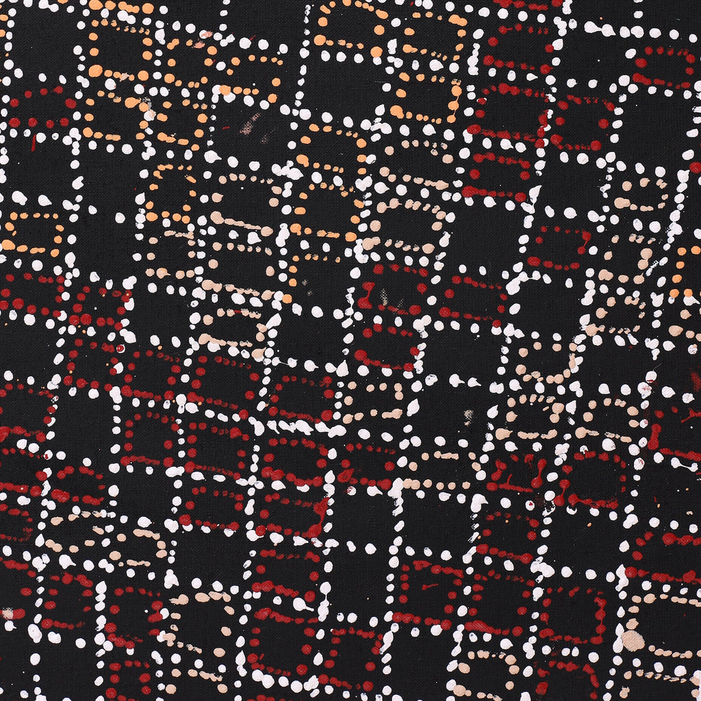 Aboriginal Artwork by Julie Nangala Robertson, Ngapa Jukurrpa (Water Dreaming) - Pirlinyarnu, 152x107cm