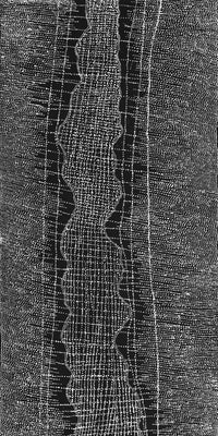 Aboriginal Artwork by Julie Nangala Robertson, Ngapa Jukurrpa (Water Dreaming) - Pirlinyarnu, 152x76cm