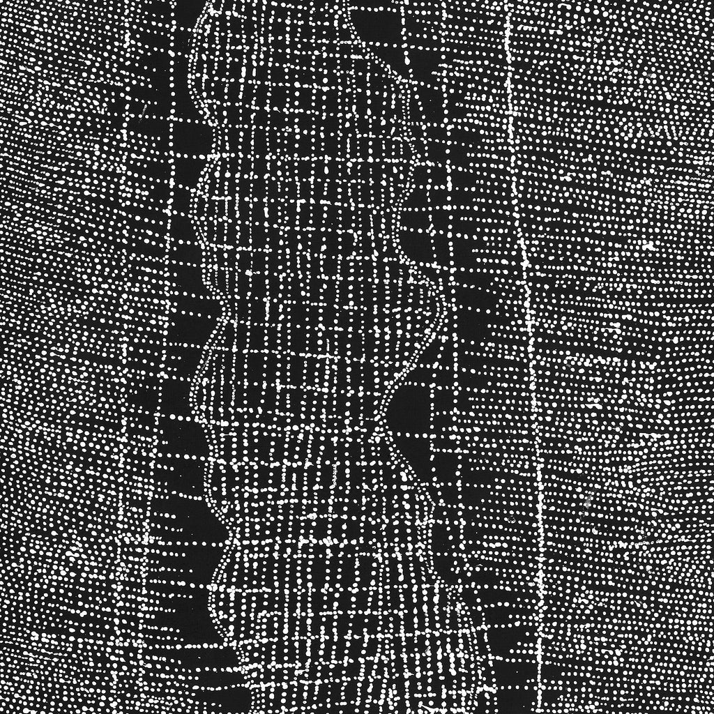 Aboriginal Artwork by Julie Nangala Robertson, Ngapa Jukurrpa (Water Dreaming) - Pirlinyarnu, 152x76cm