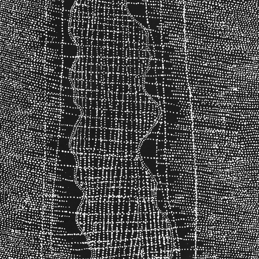 Aboriginal Artwork by Julie Nangala Robertson, Ngapa Jukurrpa (Water Dreaming) - Pirlinyarnu, 152x76cm