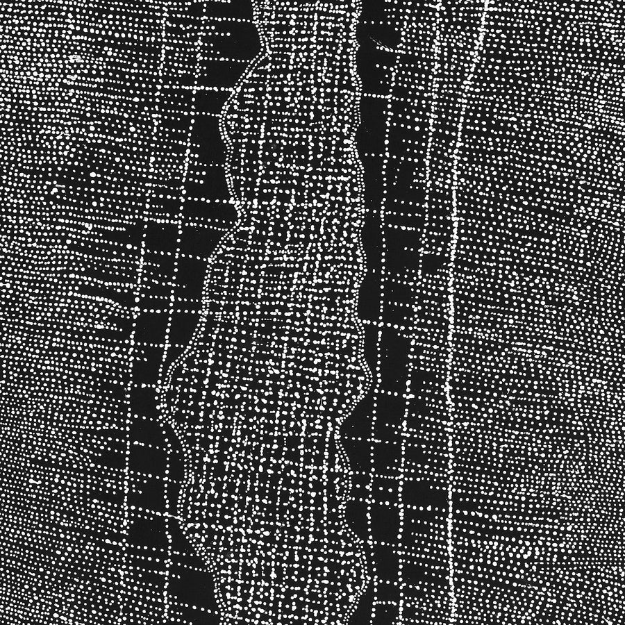 Aboriginal Artwork by Julie Nangala Robertson, Ngapa Jukurrpa (Water Dreaming) - Pirlinyarnu, 152x76cm