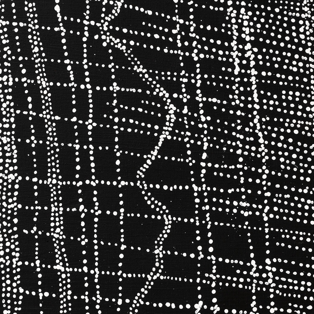Aboriginal Artwork by Julie Nangala Robertson, Ngapa Jukurrpa (Water Dreaming) - Pirlinyarnu, 203x91cm