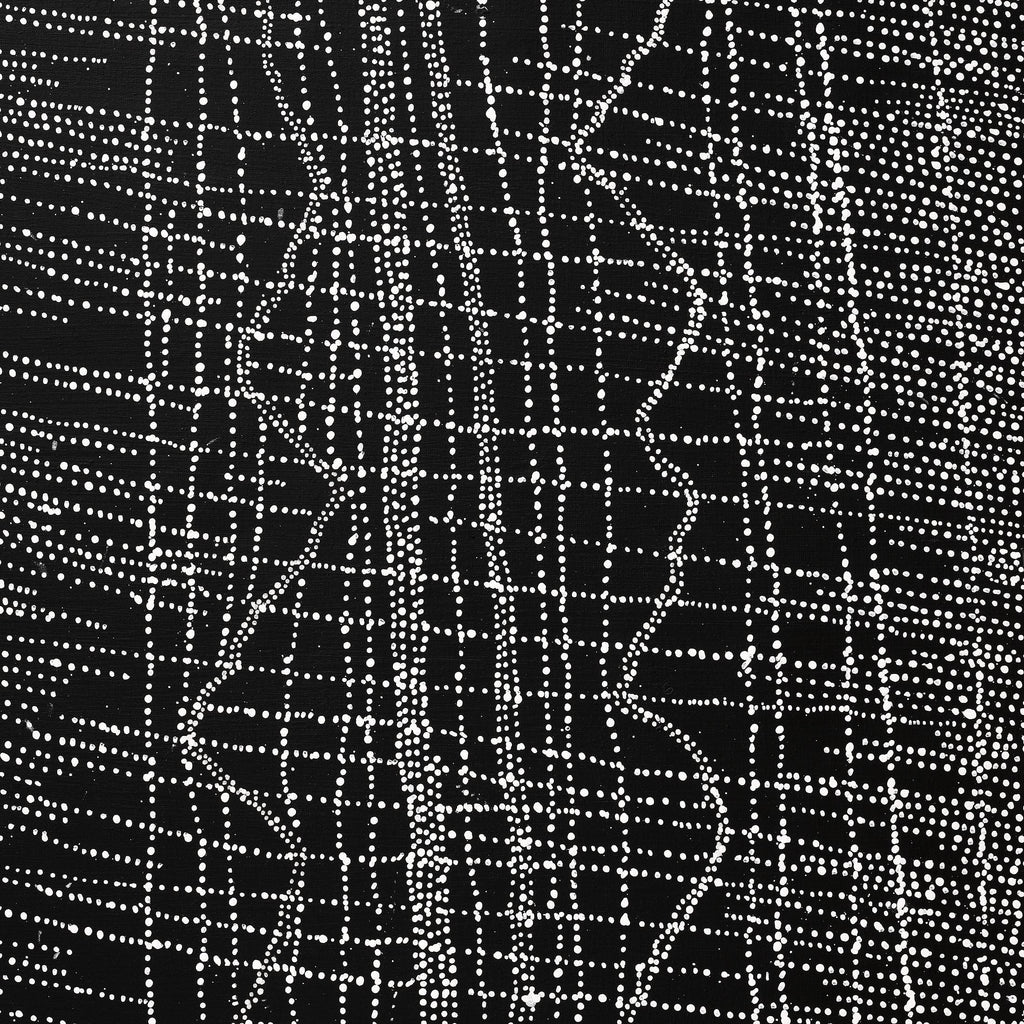 Aboriginal Artwork by Julie Nangala Robertson, Ngapa Jukurrpa (Water Dreaming) - Pirlinyarnu, 203x91cm