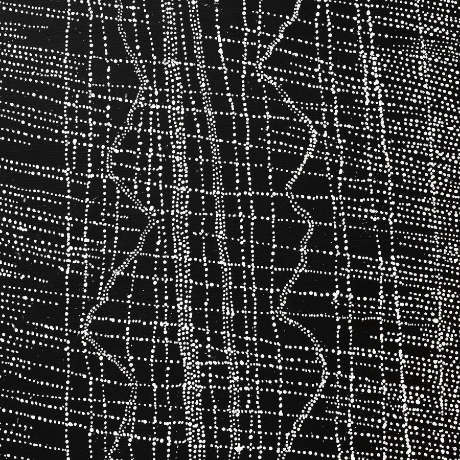 Aboriginal Artwork by Julie Nangala Robertson, Ngapa Jukurrpa (Water Dreaming) - Pirlinyarnu, 203x91cm