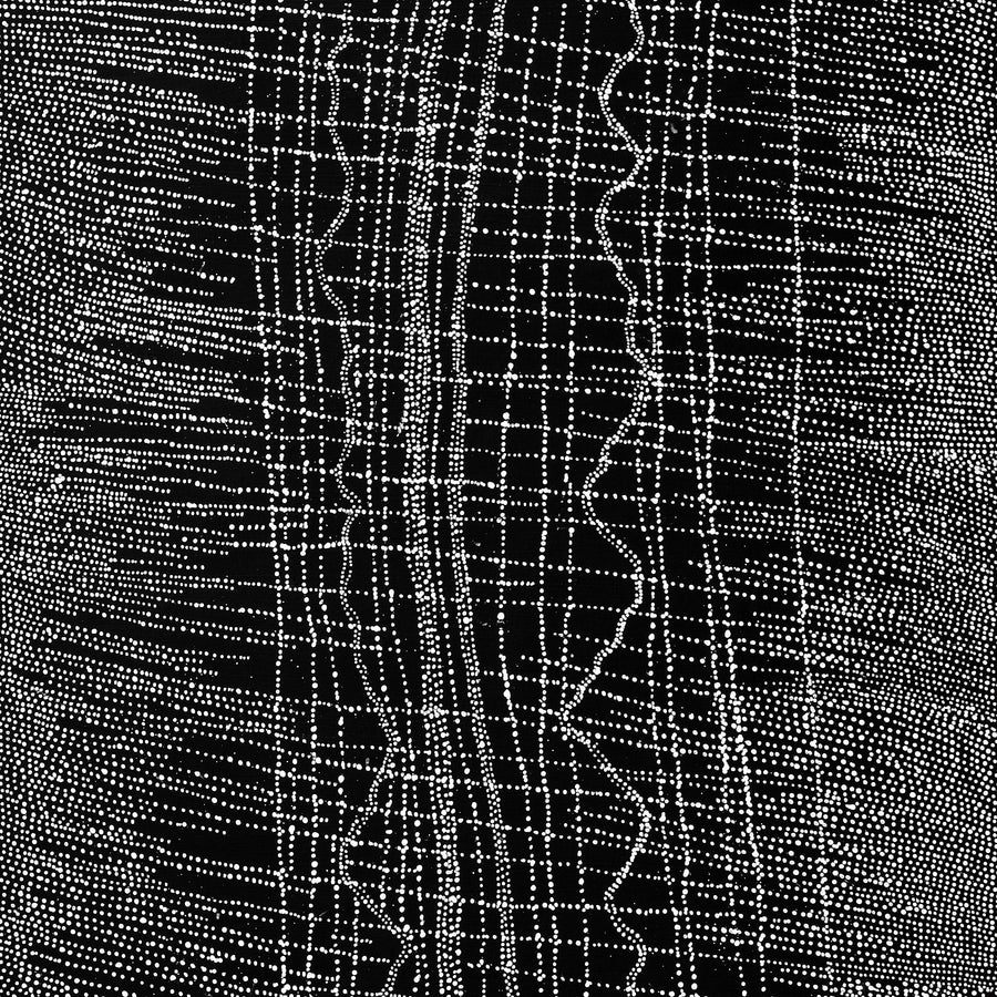 Aboriginal Artwork by Julie Nangala Robertson, Ngapa Jukurrpa (Water Dreaming) - Pirlinyarnu, 203x91cm