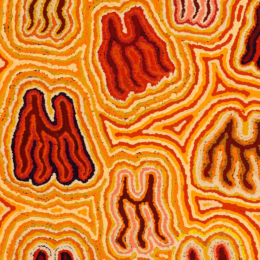 Aboriginal Artwork by Kelly Napanangka Michaels, Majardi Jukurrpa (Hair-string Belt Dreaming), 76x61cm