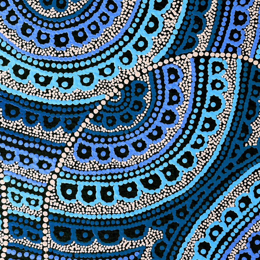 Aboriginal Artwork by Kirsty-Anne Napanangka Martin, Ngalyipi Jukurrpa (Snakevine Dreaming) - Mina Mina, 61x46cm