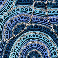 Aboriginal Artwork by Kirsty-Anne Napanangka Martin, Ngalyipi Jukurrpa (Snakevine Dreaming) - Mina Mina, 61x46cm