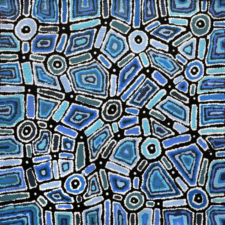 Aboriginal Artwork by Lynette Nangala Singleton, Ngapa Jukurrpa - Puyurru, 61x61cm