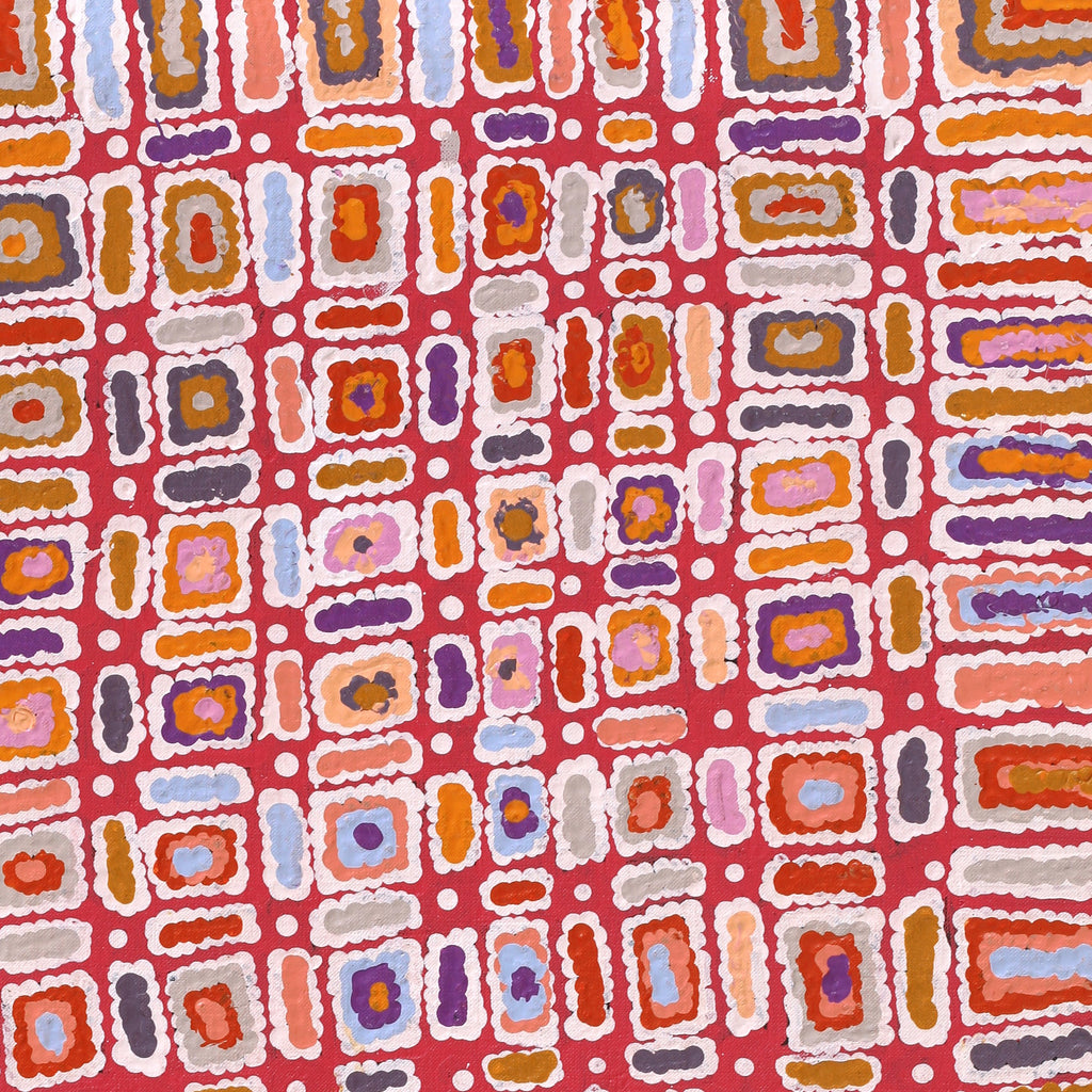 Aboriginal Artwork by Lynette Nangala Singleton, Ngapa Jukurrpa - Puyurru, 76x46cm