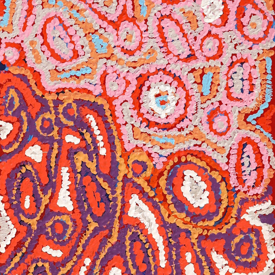 Aboriginal Artwork by Magda Nakamarra Curtis, Lappi Lappi Jukurrpa, 122x30cm