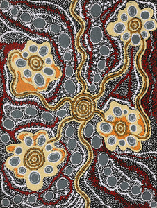Aboriginal Artwork by Maria Nampijinpa Brown, Pamapardu Jukurrpa (Flying Ant Dreaming) - Warntungurru, 61x46cm - ART ARK®