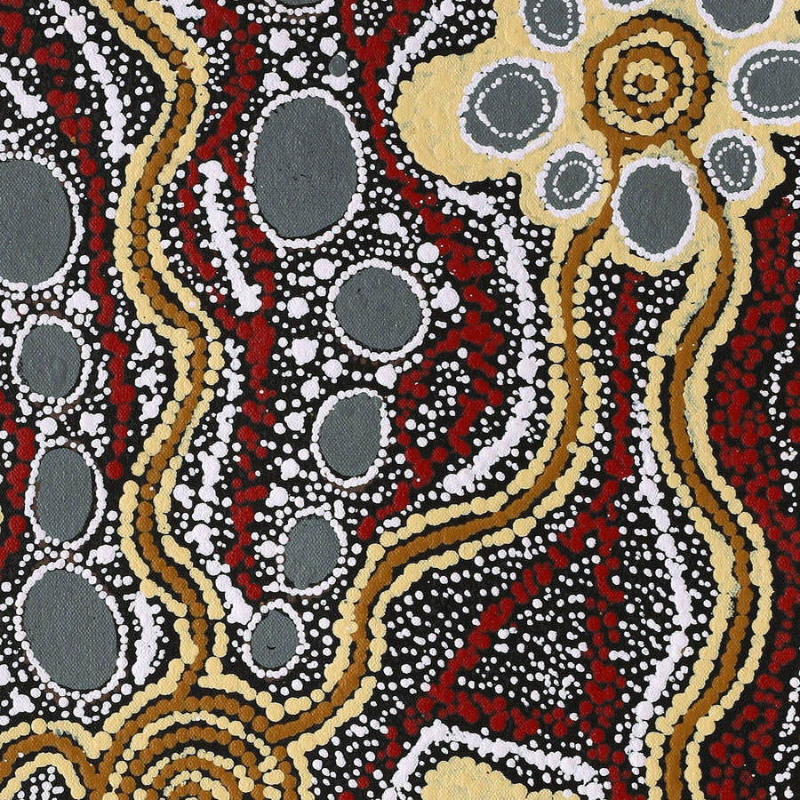 Aboriginal Artwork by Maria Nampijinpa Brown, Pamapardu Jukurrpa (Flying Ant Dreaming) - Warntungurru, 61x46cm