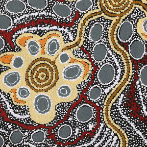 Aboriginal Artwork by Maria Nampijinpa Brown, Pamapardu Jukurrpa (Flying Ant Dreaming) - Warntungurru, 61x46cm - ART ARK®