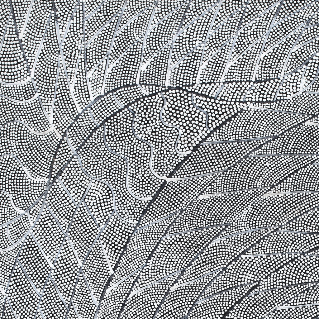 Aboriginal Artwork by Mary Napangardi Butcher, Pikilyi Jukurrpa, 91x46cm