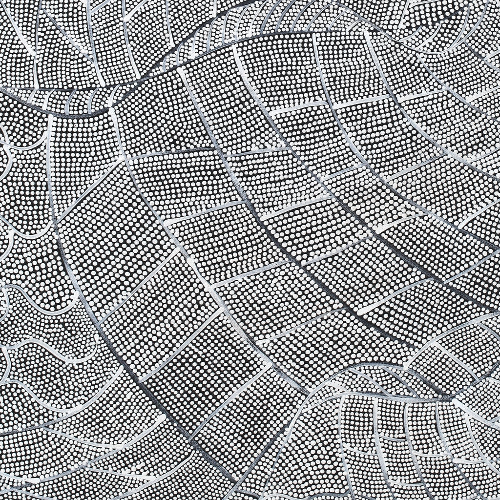 Aboriginal Artwork by Mary Napangardi Butcher, Pikilyi Jukurrpa, 91x46cm