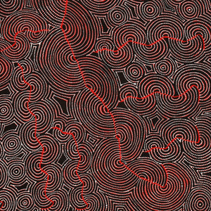 Aboriginal Art by Patrick Japangardi Williams, Mina Mina Jukurrpa (Mina Mina Dreaming), 152x122cm - ART ARK®