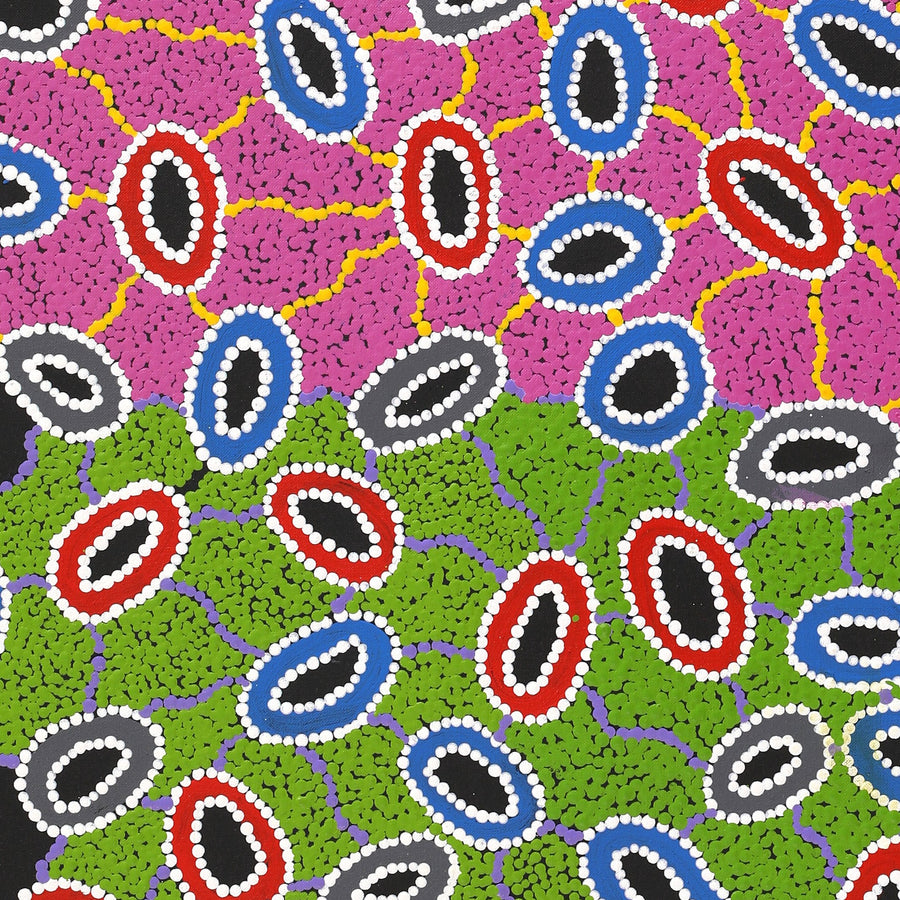Aboriginal Artwork by Priscilla Nangala Robertson, Ngapa Jukurrpa (Water Dreaming) - Puyurru, 107x61cm