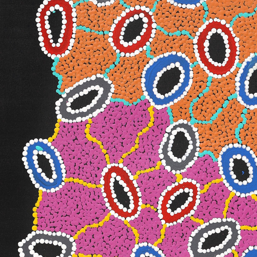 Aboriginal Artwork by Priscilla Nangala Robertson, Ngapa Jukurrpa (Water Dreaming) - Puyurru, 107x61cm